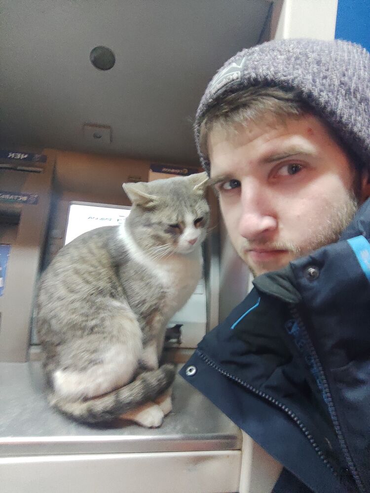 ���������� �����������, ���� ������� �������, 29 ���, ������������ ��� ������, ����� � ���������, c�������� ���������