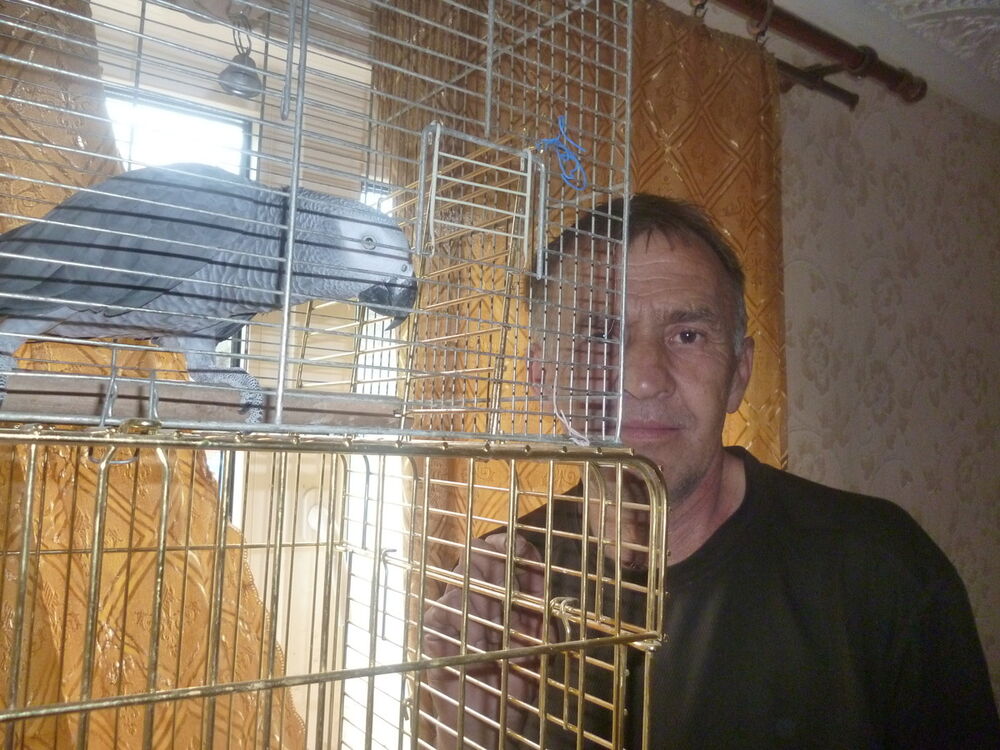  ,   , 64 ,   