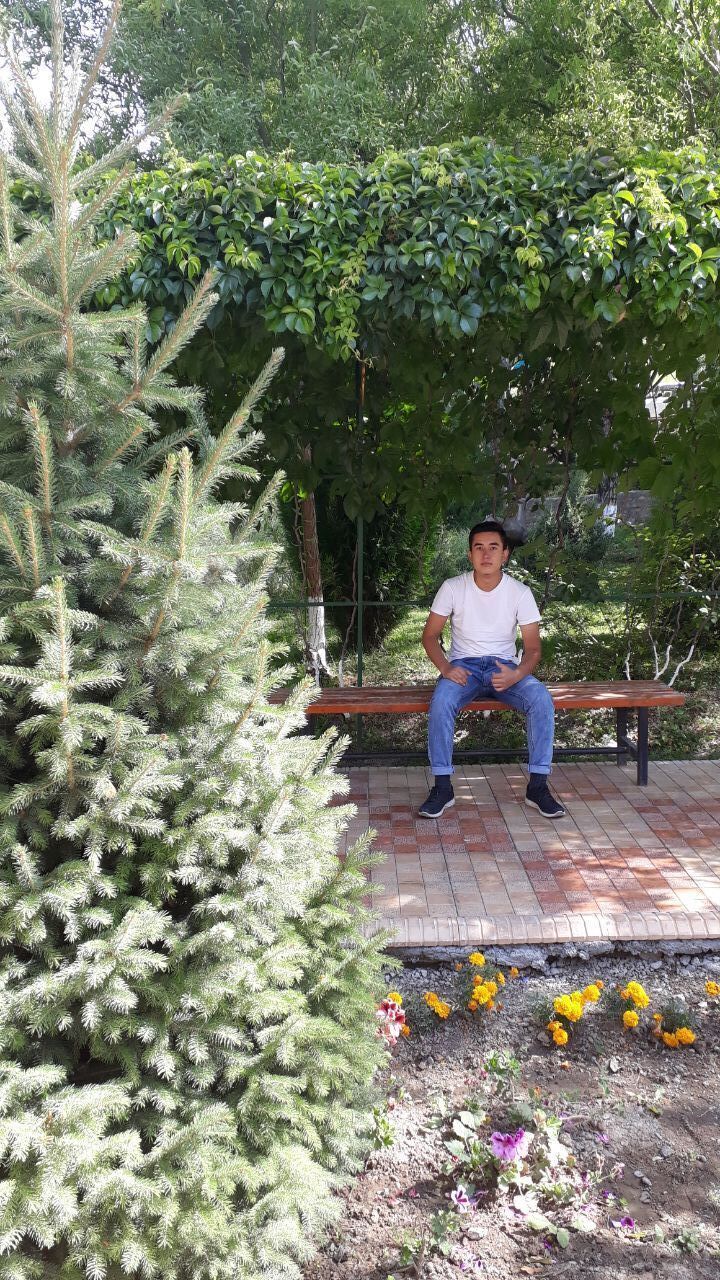 ���������� ���������, ���� ����� Elmurod, 25 ���, ������������ ��� ������, ����� � ���������