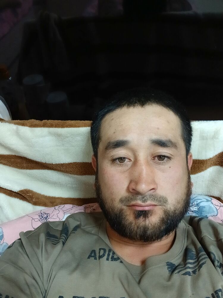  53956560  Abbos, 32 ,    