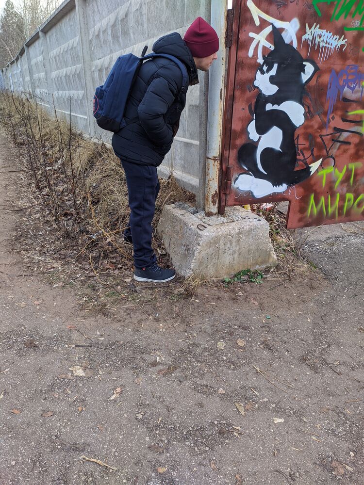 ���� 25616910 ������� ������, 38 ���, ���� ���������� � ��������