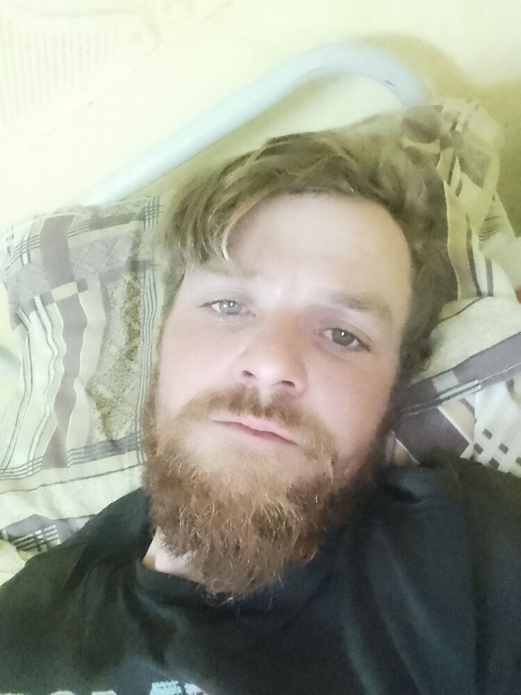  42142900  , 29 ,    