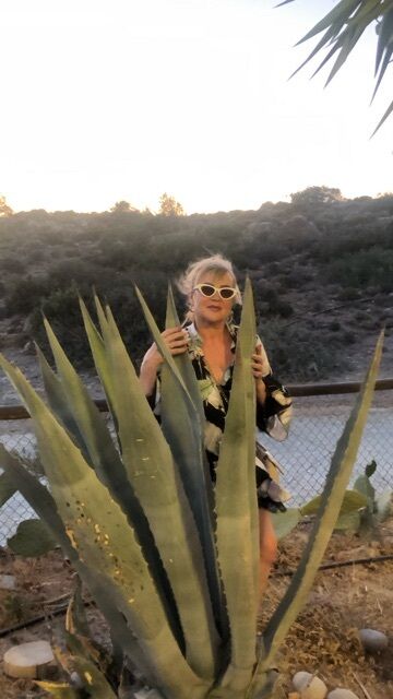  54445030  , 55 ,    Vaxjo