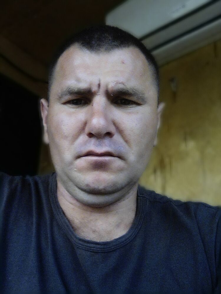 ���� 23446200 ������� �������, 44 ����, ���� ���������� � ����������