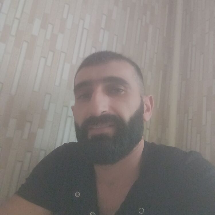  41175580  , 37 ,    