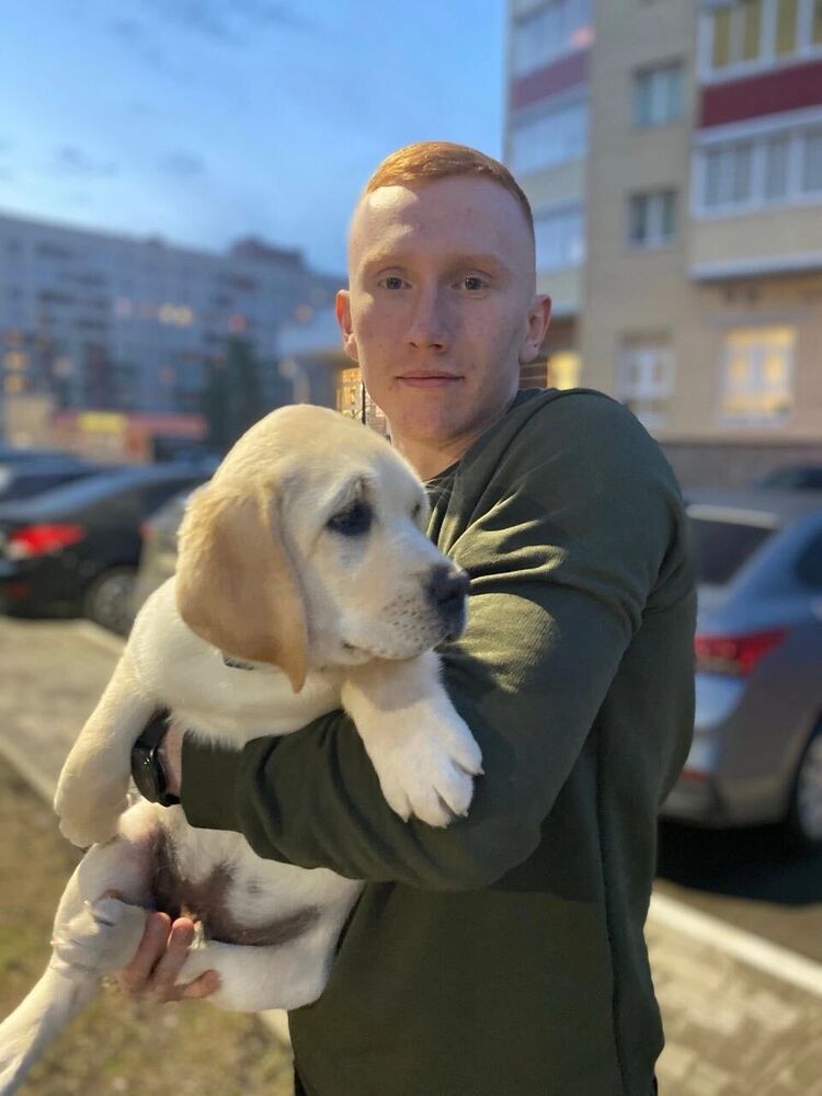 ���� 55803080 ������� ���������, 28 ���, ���� ���������� � �������������