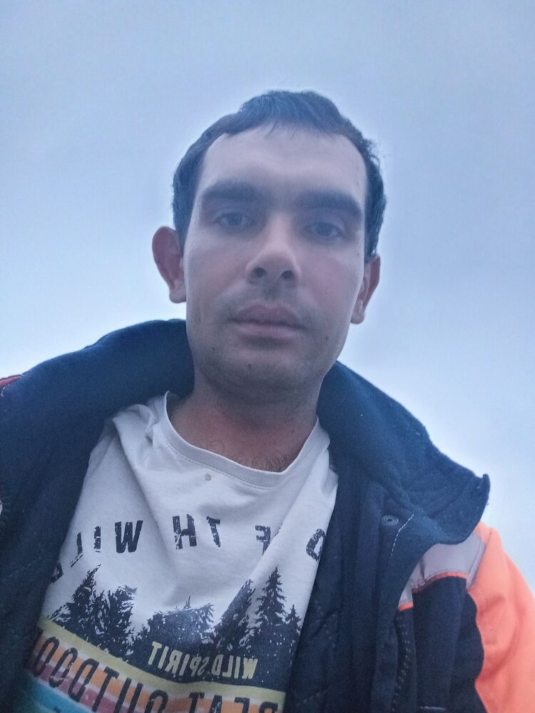  44565560  , 31 ,    