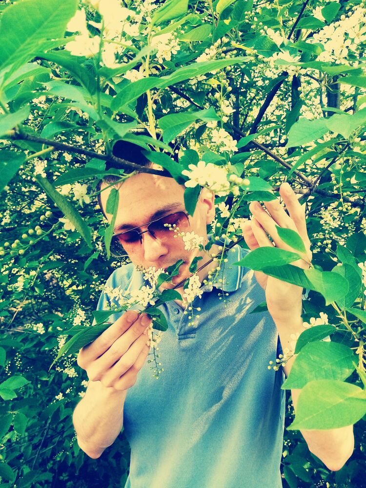 ���� 28508310 ������� ����, 32 ����, ���� ���������� � �������������