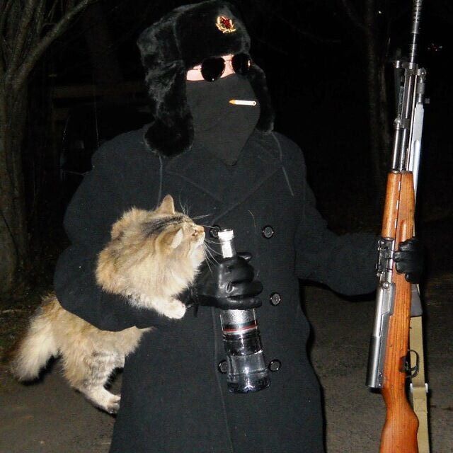 ���� 25103780 ����� Jet, 24 ����, ���� ���������� � �����