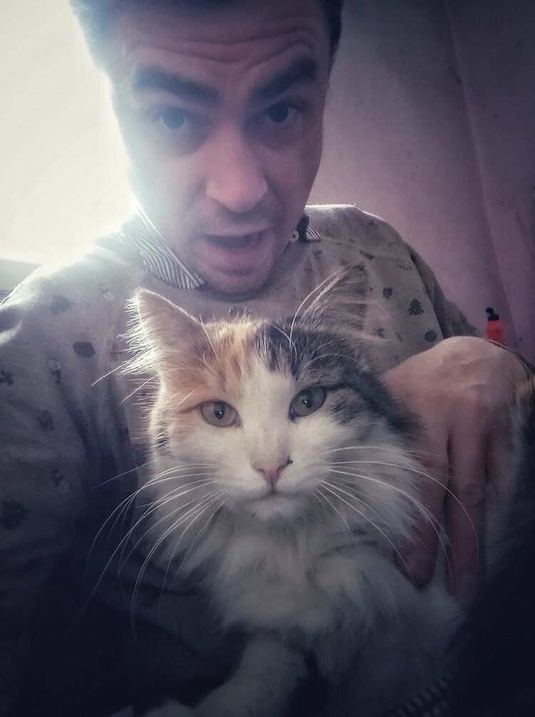 ���������� ������, ���� ������� �������, 42 ����, ������������ ��� ������, ����� � ���������