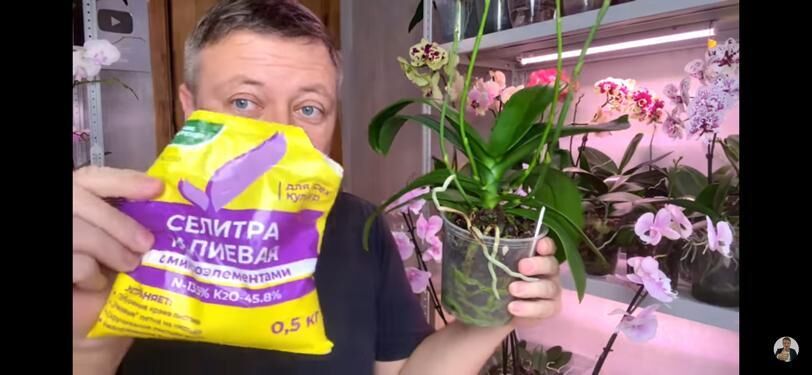 ���� 33100000 ������� Daniil, 38 ���, ���� ���������� � ����