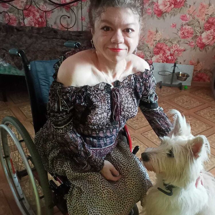  54035690  , 45 ,    -