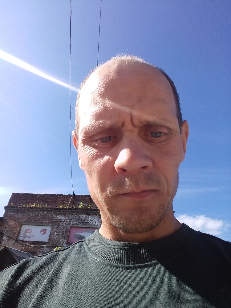  28146020  , 43 ,    
