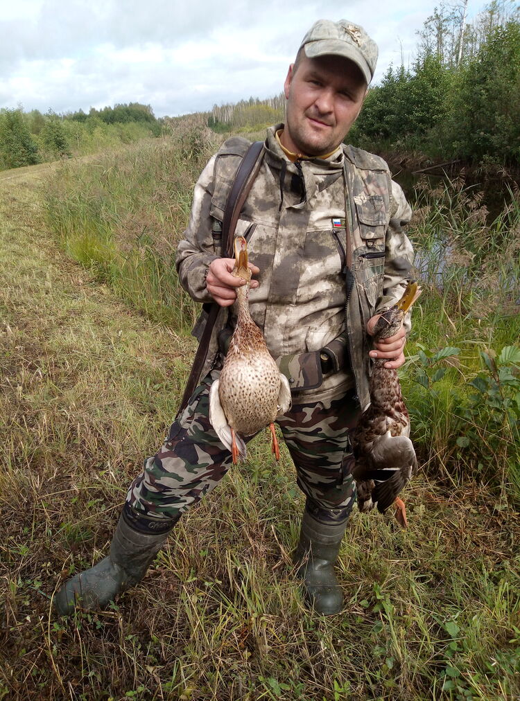 ���������� ������, ���� ������� ���������, 41 ���, ������������ ��� ������, ����� � ���������