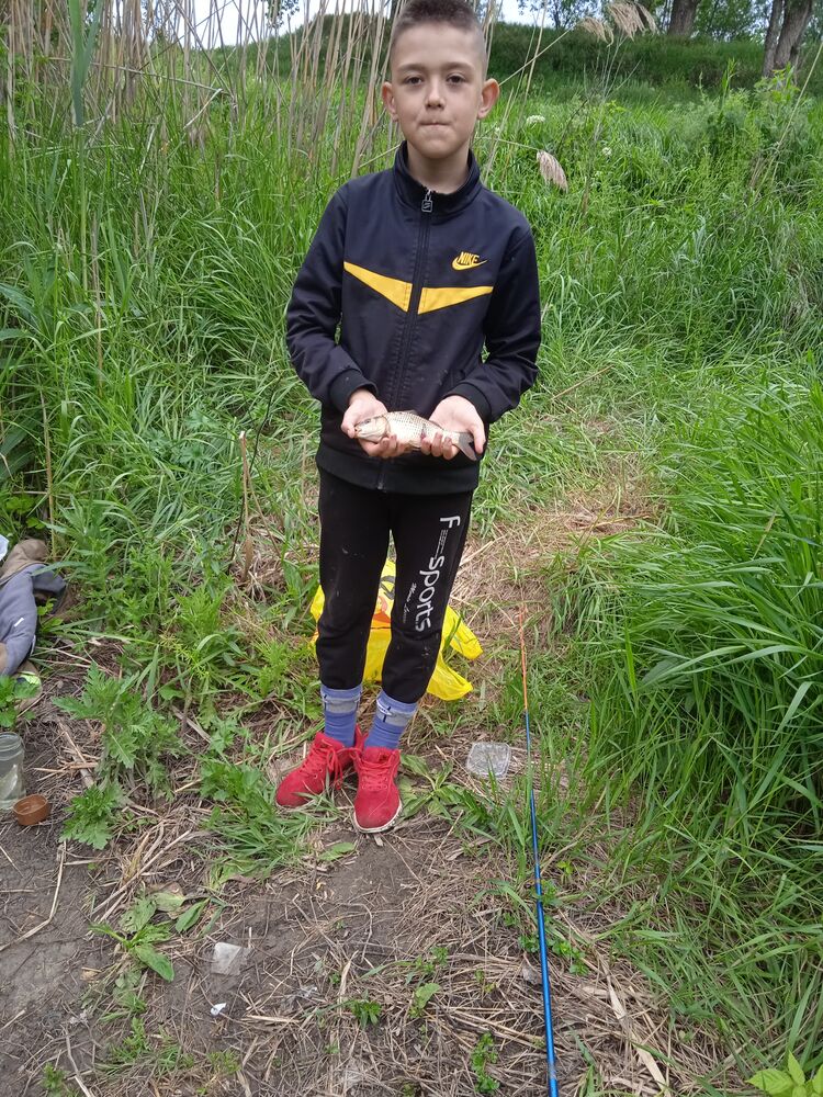 ���� 55382250 ������� ������, 48 ���, ���� ���������� � �����������