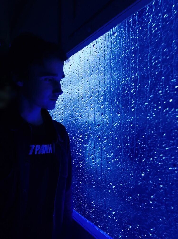 ���������� �����������, ���� ����� ����, 25 ���, ������������ ��� ������, ����� � ���������