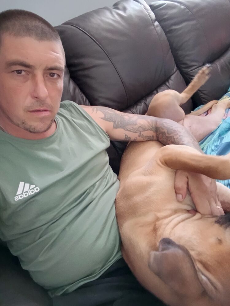 ���� 45100420 ������� �����, 38 ���, ���� ���������� � �����-����������