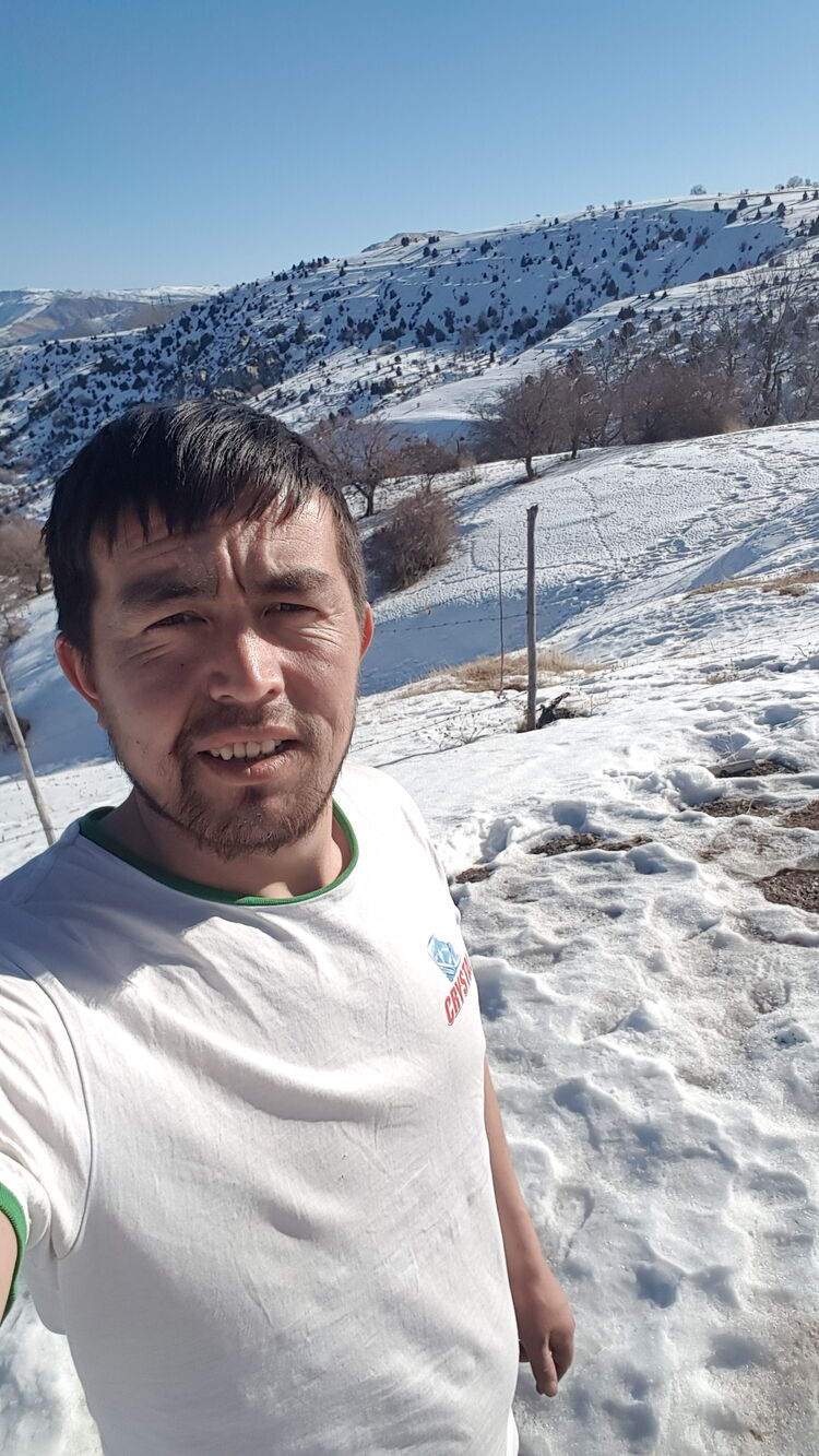 ���������� ������, ���� ������� ������, 31 ���, ������������ ��� ������, ����� � ���������