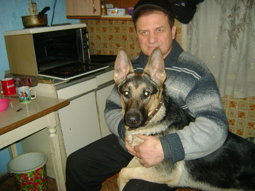  ,   , 62 ,   