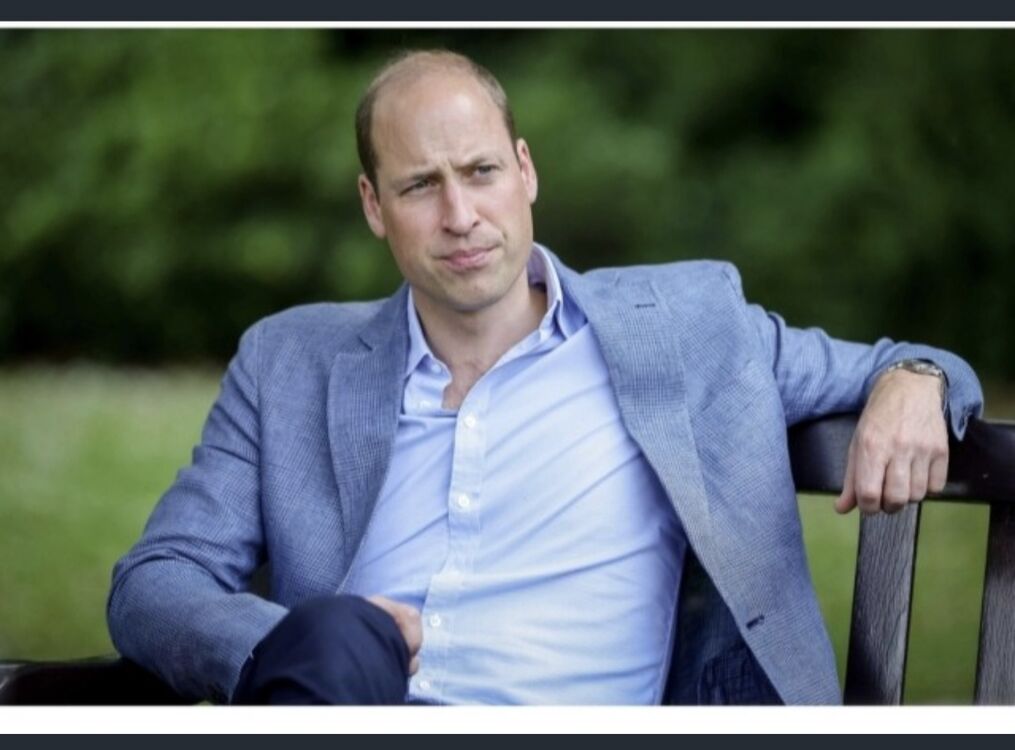 ���� 55578120 ������� David, 38 ���, ���� ���������� � �������