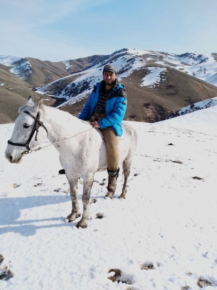 ���� 28688690 ������� Sega, 46 ���, ���� ���������� � �����-����������