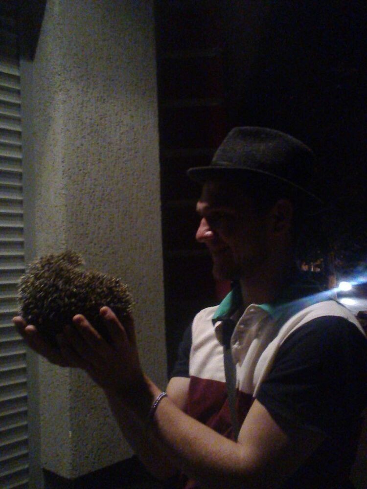 ���� 44209820 ������� Vladlen, 27 ���, ���� ���������� � �����������