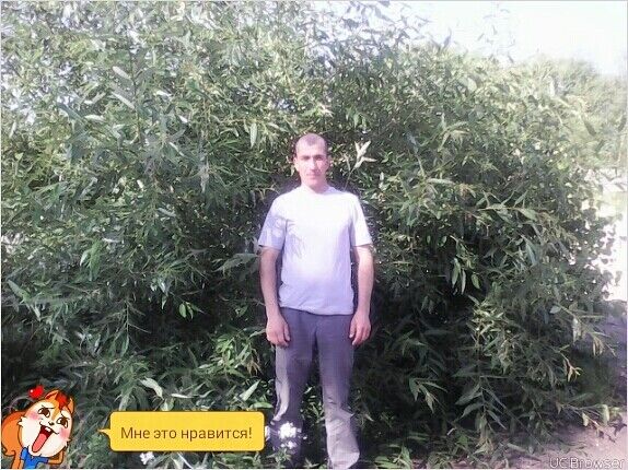  45444780  Joni, 40 ,    