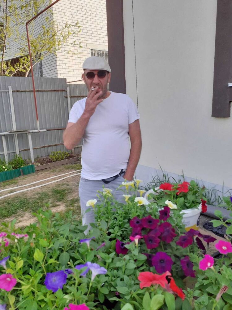  43581480  , 53 ,    -