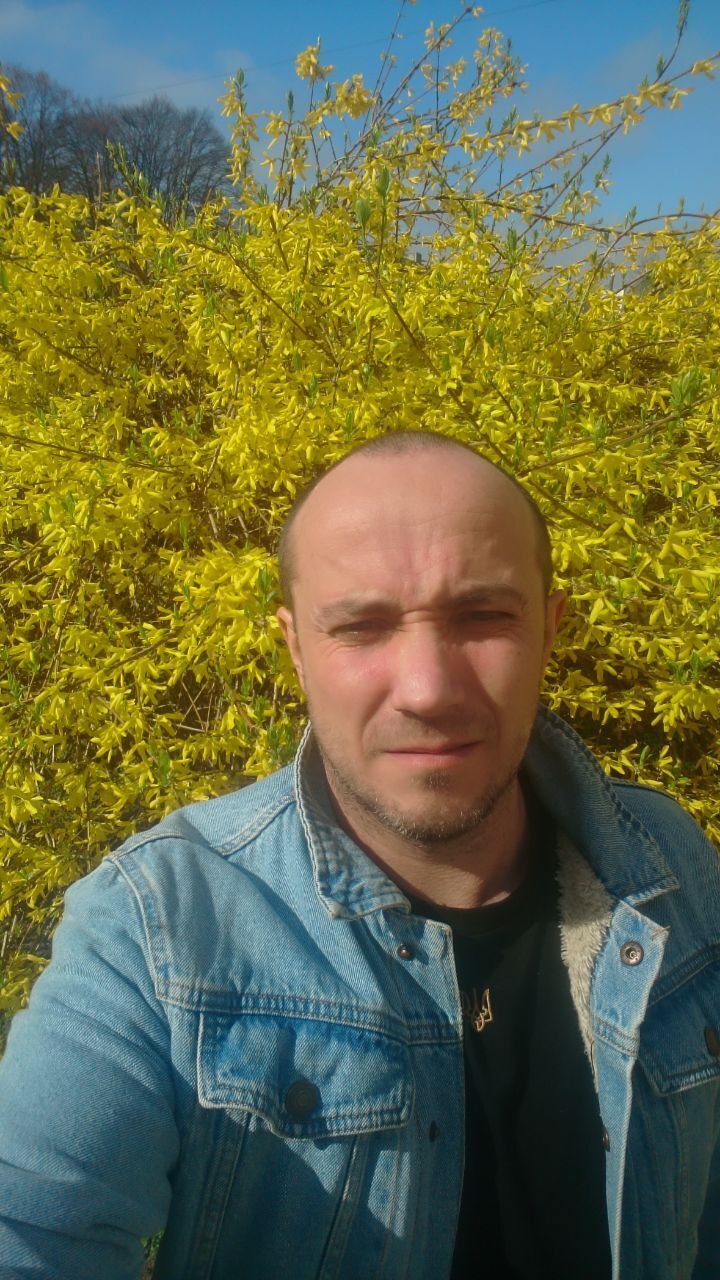  46999480  , 41 ,    
