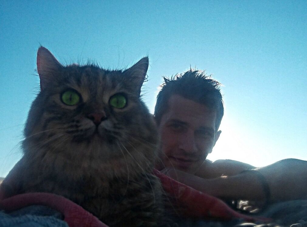 ���� 7898630 ������� Pavrl, 32 ����, ���� ���������� � ����