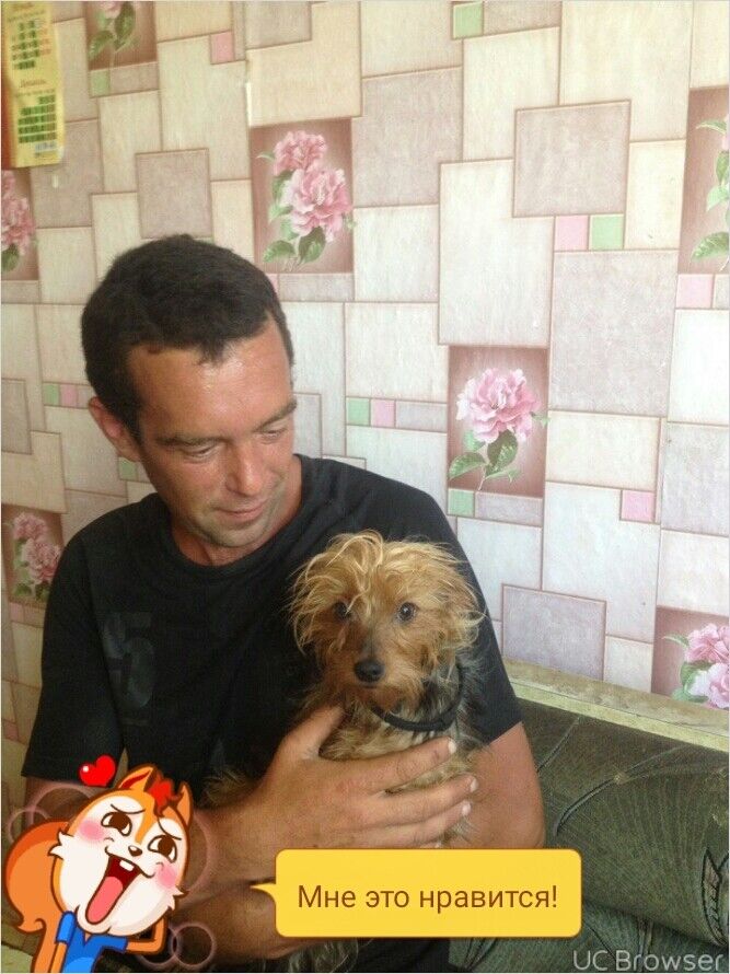 ���� 10844530 ������� ����, 44 ����, ���� ���������� � �����������