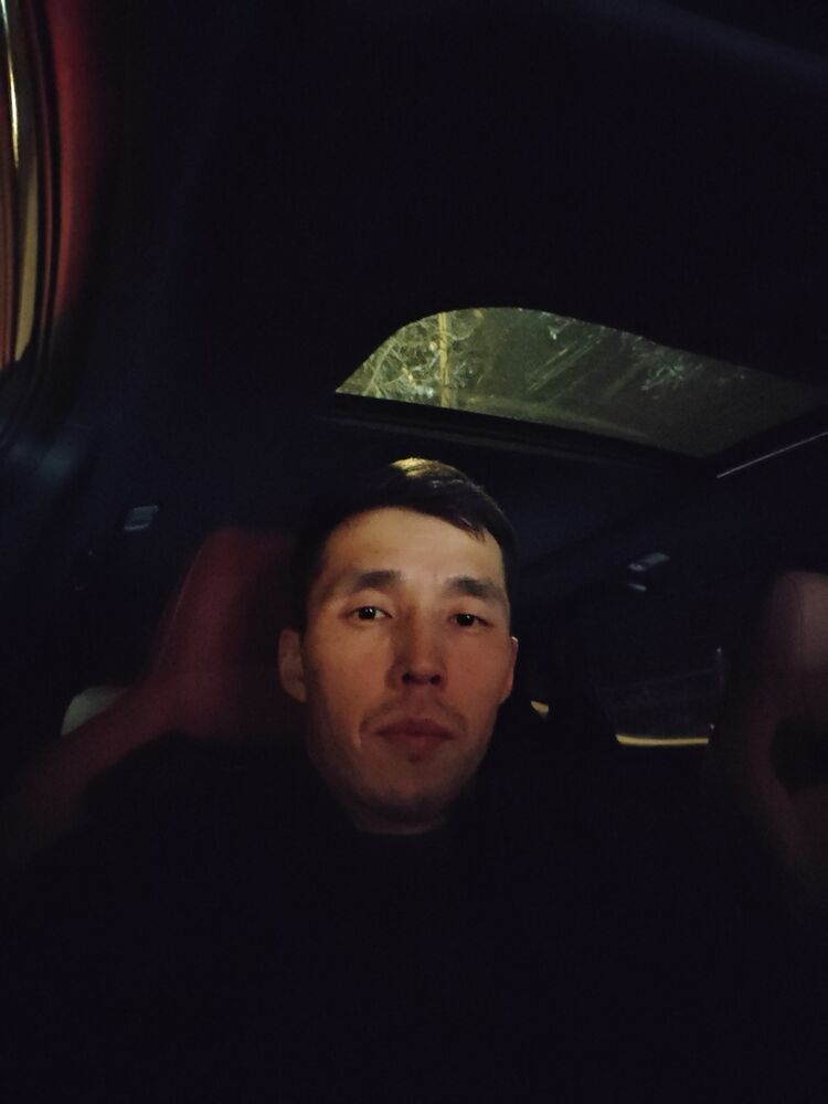 ���� 55218190 ������� TAALAI, 29 ���, ���� ���������� � �������