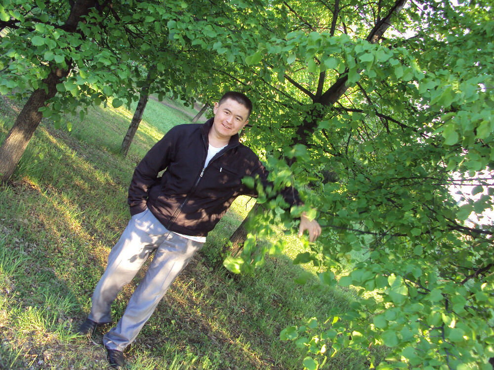 ���������� ������������, ���� ������� ���, 38 ���, ������������ ��� ������