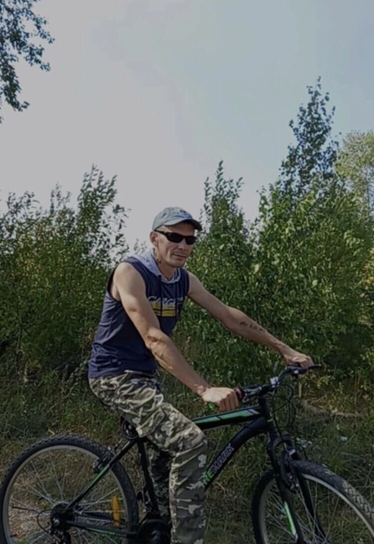  38238180  , 41 ,    