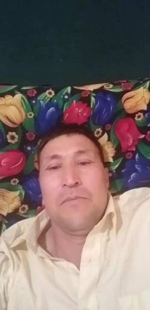 ���� 24132240 ������� ����, 50 ���, ���� ���������� � �����-����������