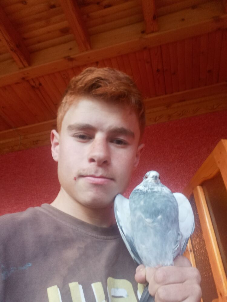 ���� 37985250 ����� ���, 21 ���, ���� ���������� � �������������