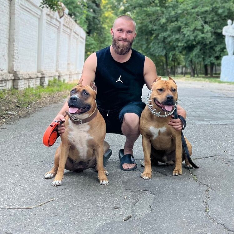 ���� 49270990 ������� �������, 33 ����, ���� ���������� � ������