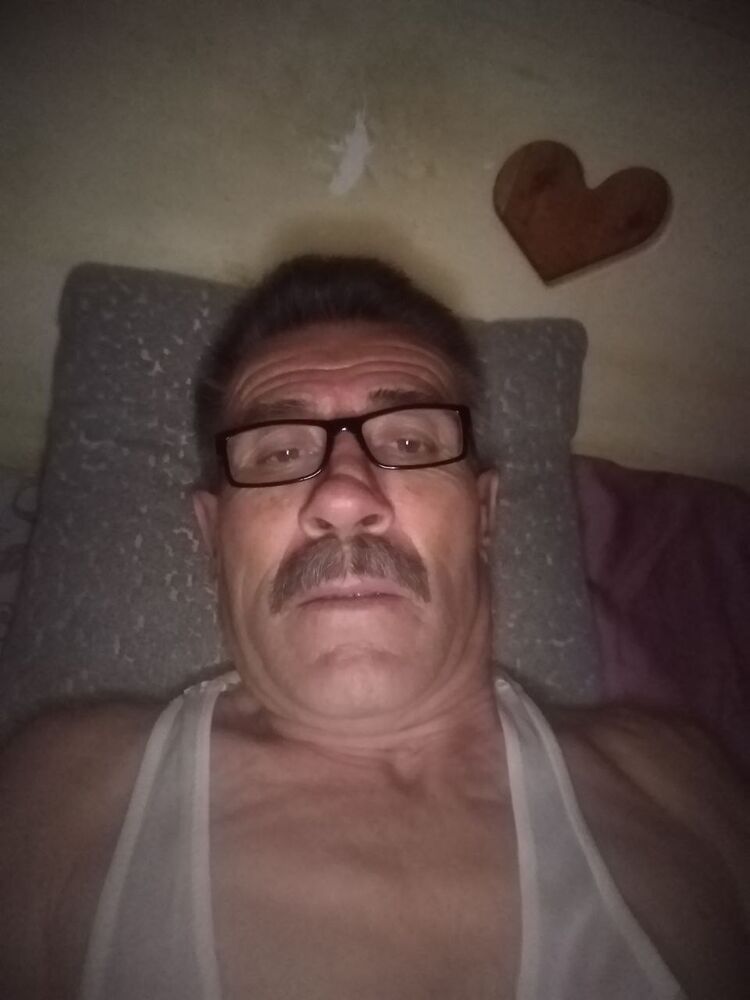  50929890  , 55 ,    