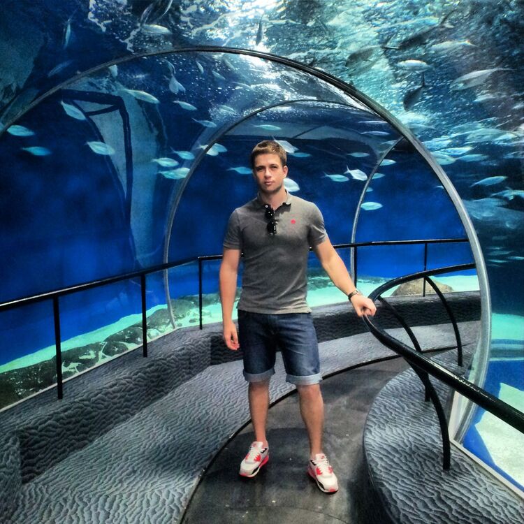 ���������� �����, ���� ������� Maks, 39 ���, ������������ ��� ������, ����� � ���������