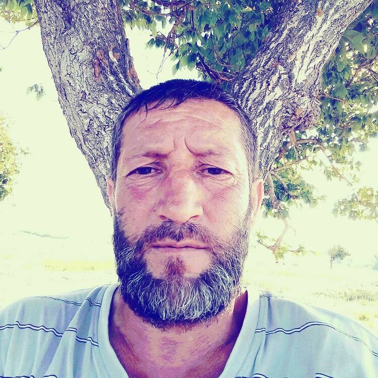  25584650  , 48 ,    