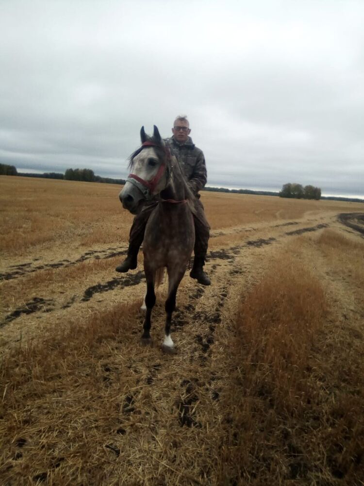 ���� 42230530 ������� Ը���, 27 ���, ���� ���������� � �����