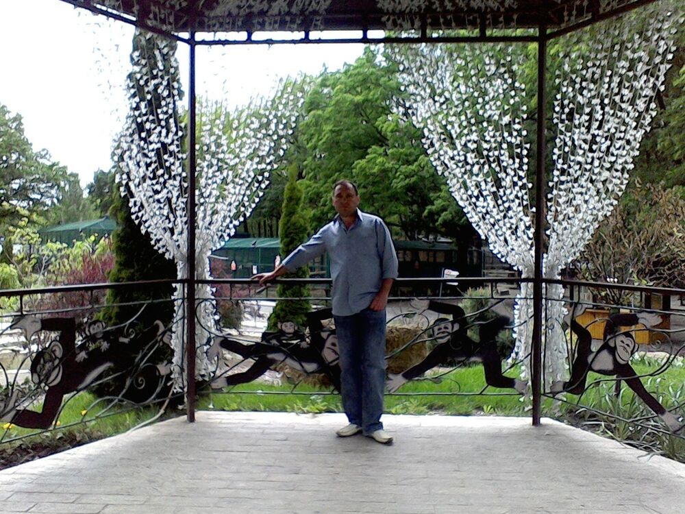 ���� 9184740 ������� ��������, 56 ���, ���� ���������� � ��������