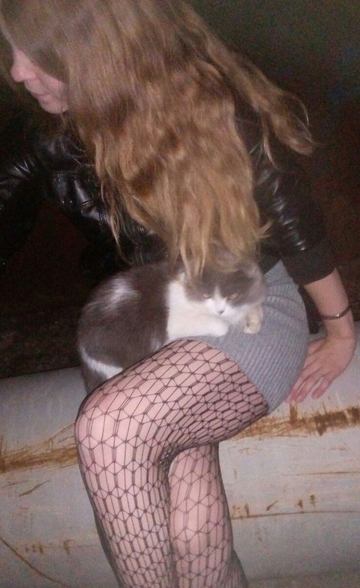 ���� 16103190 ������� ����, 32 ����, ���� ���������� � ���������