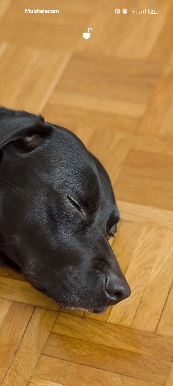 ���������� �������, ���� ������� �����, 41 ���, ������������ ��� ������, ����� � ���������