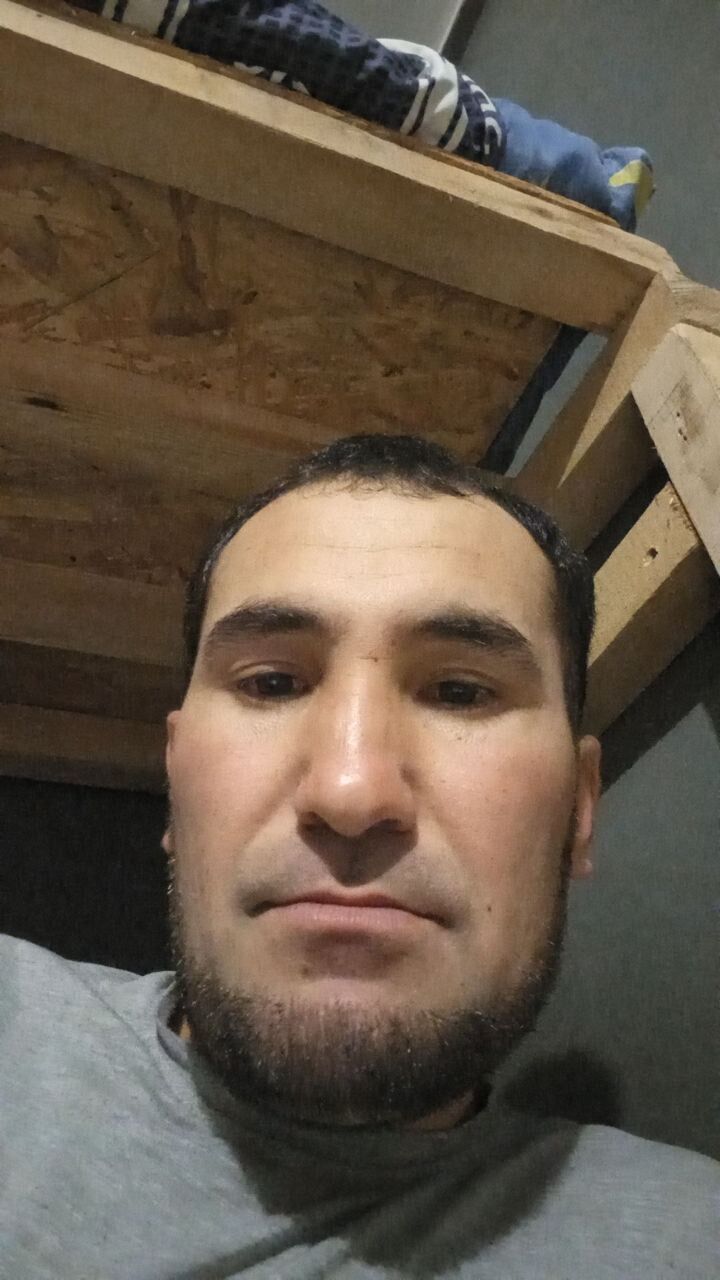 ���� 50431070 ������� ����, 34 ����, ���� ���������� � ������