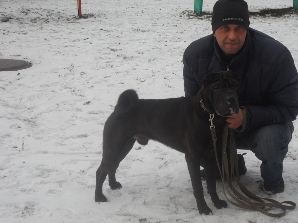 ���� 4172570 ������� ����, 48 ���, ���� ���������� � ��������