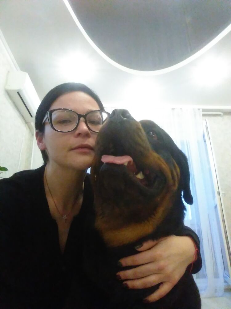  ,   , 41 ,  