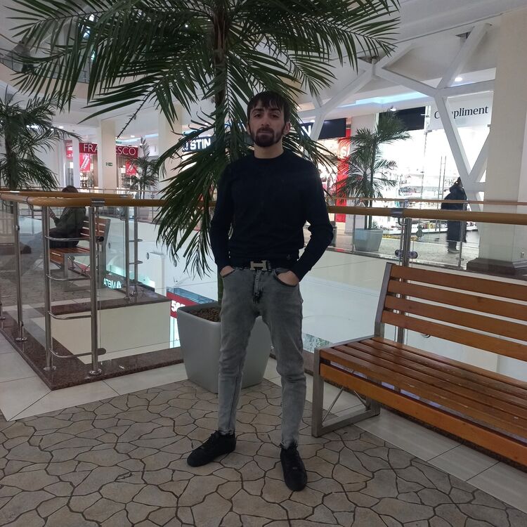 ���� 33386550 ������� ������, 28 ���, ���� ���������� � ���������