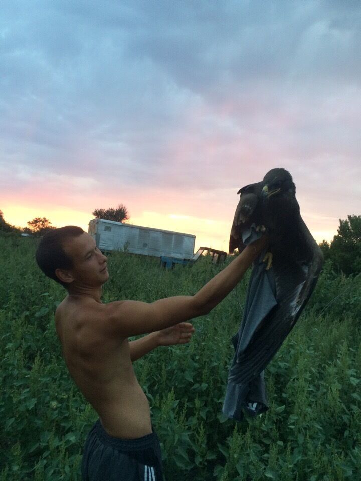 ���������� ���������, ���� ������� ���������, 27 ���, ������������ ��� ������, ����� � ���������