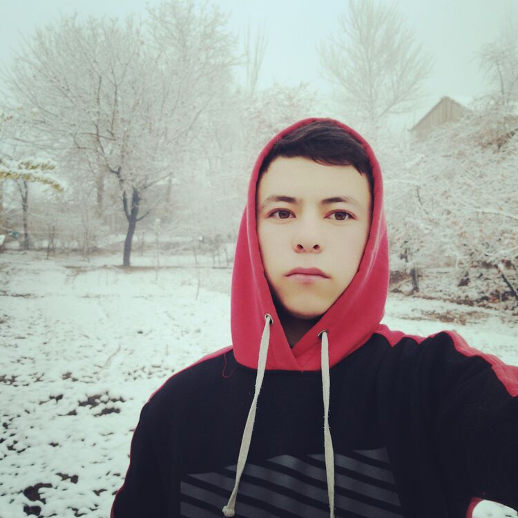 ���� 26040200 ����� �������, 24 ����, ���� ���������� � ������